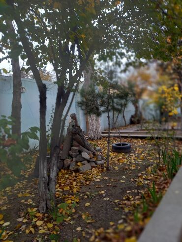 Restoran, kafelər: Tecili Heyder Eliyev prospektinde Wefa stadiondan uzu Korogluya esas — 10