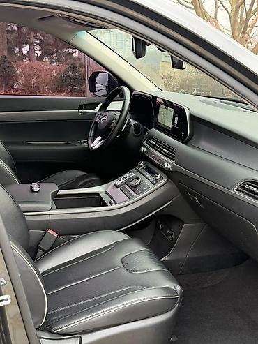 Hyundai: Hyundai Palisade: 2019 г., 2.2 л, Автомат, Дизель, Кроссовер — 26