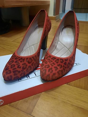 ženska obuća veliki brojevi: Ženske salonke sa leopard printom - Model: klasične salonke sa — 3