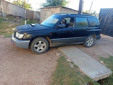 Subaru: Subaru Forester: 1998 г., 2 л, Автомат, Бензин, Универсал — 2