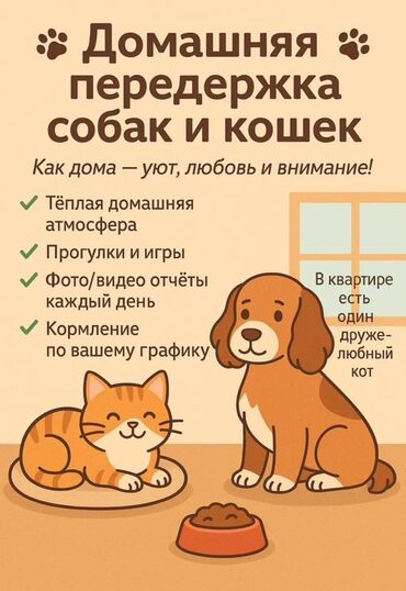приют для животных баку: Забота, как у себя дома — с любовью и вниманием! 📍 Передержка в