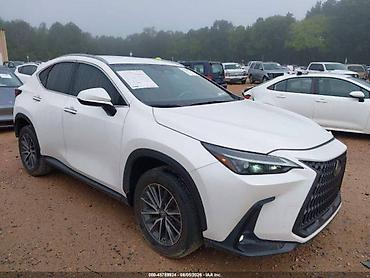 inter: Lexus NX: 2022 г., Автомат — 1