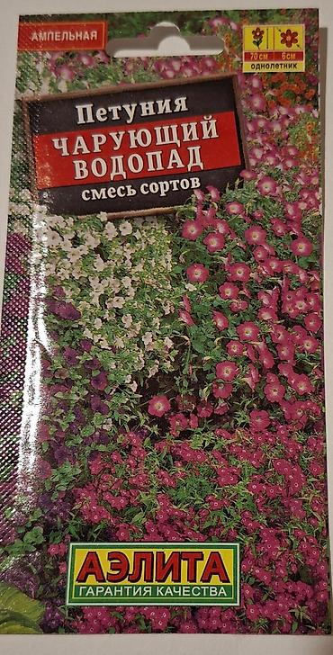 sokoladli gul buketi: Məhsul: AELITA markalı petuniya toxumları – rəngli qarışıqlar — 3