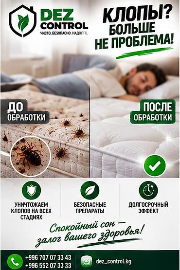 обработка от клопов: Профессиональная дезинсекция от клопов — DEZ Control - Комплексная — 1