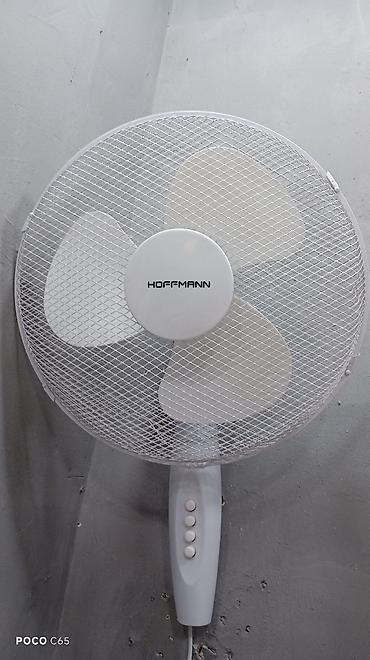 mini fan: Hoffmann divar ventilyatoru - Tip: divara quraşdırılan elektrik — 1