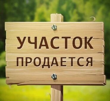 нижня аларча: 8 соток, Курулуш, Сатып алуу-сатуу келишими, Кызыл китеп
