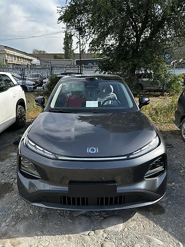 byd e1: Changan Qiyuan Q05: 2026 г. — 1