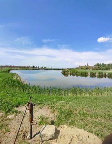 Продажа участков: 600 соток, Для бизнеса, Красная книга — 18