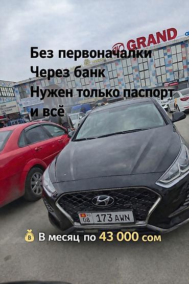 byd han: Hyundai Sonata: 2020 г., 2 л, Автомат, Газ, Седан — 1