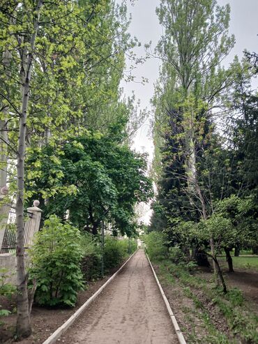 куплю землю сельхозназначения: 12 соток, Договор купли-продажи