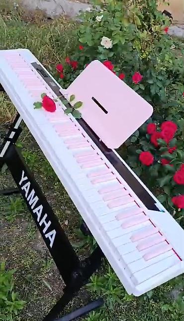 metronom: Piano, Rəqəmsal, Yeni, Ünvandan götürmə, Pulsuz çatdırılma — 8