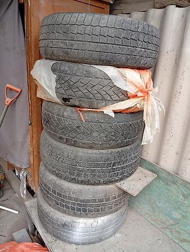 winter: Шины 215 / 60 / R 16, Зима, Б/у, Легковые, Dunlop — 2