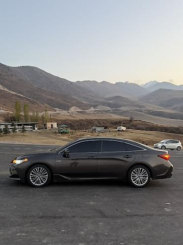 drive: Toyota Avalon: 2020 г., 2.5 л, Вариатор, Гибрид, Седан — 2