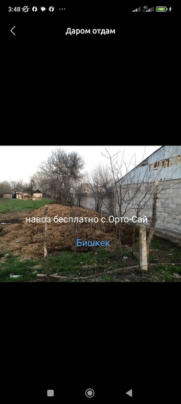 podarki.kg бишкек фото: Жер семирткич