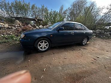 фары опель вектра б: Nissan Primera: 2000 г., 1.6 л, Механика, Бензин, Седан — 2