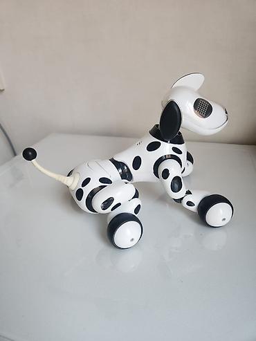 Oyuncaqlar: Ağıllı robot it Zummer.Orijinaldır xaricden getirilib.Tekerli rahat — 4