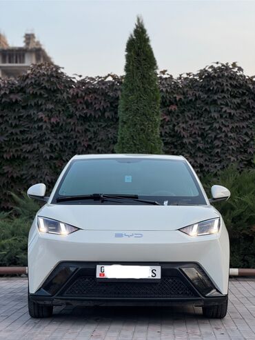 электромобили из китая: BYD Seagull: 2024 г., Робот, Электромобиль, Хэтчбэк
