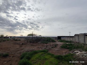 Цеха, заводы, фабрики: Продаю Фабрика, С оборудованием, Действующий, 2000 м² — 9