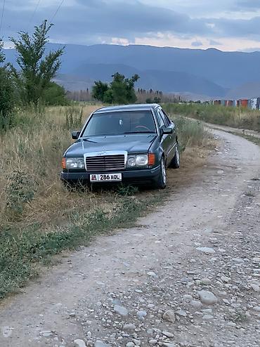 гелик мини: Mercedes-Benz W124: 1992 г., 2.3 л, Механика, Бензин, Седан — 5