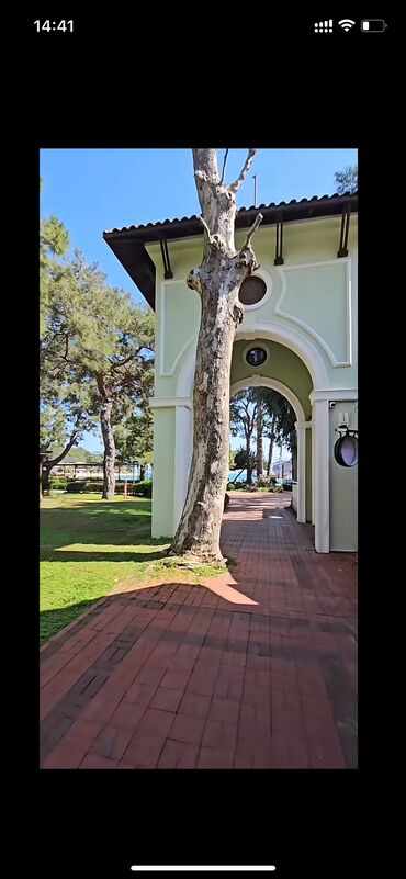 Ağlay: Termo aqlay isti aqlay termo fasad 100% zavod mali topdan satiş qiymət — 15