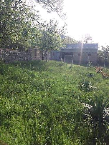 yeni yasamalda kiraye ev: Oğuz rayon Calut kəndində 3 otaqlı mənzil satılır istəyən əlaqə — 3