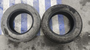 форд раптор бишкек: Зима 185/70/R14 - 1500 сом 
Лето 185/70/R14 - 1500 сом