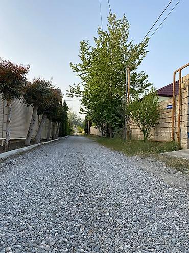 bagi: 12 sot, Tikinti, Mülkiyyətçi, Kupça (Çıxarış) — 2