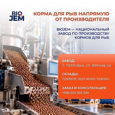 Тресканын уругу: КОРМ ДЛЯ РЫБ ОПТОМ ОТ ПРОИЗВОДИТЕЛЯ 🐟 КОРМА ДЛЯ РЫБ ОТ ПРОИЗВОДИТЕЛЯ — 1