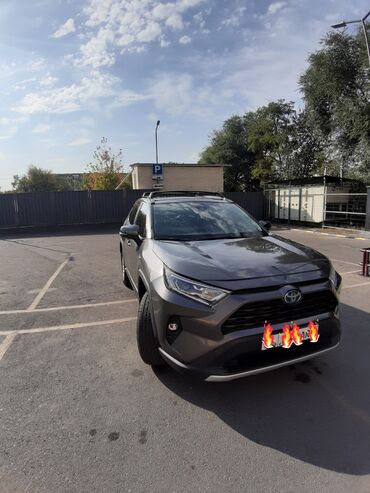 тойота бокси: Toyota RAV4: 2021 г., 2.5 л, Вариатор, Гибрид