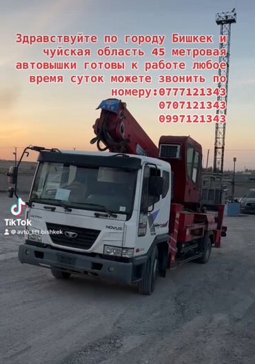 большие растения: Автовышка | Стрела 45 м. 250 т | Борт 300 кг