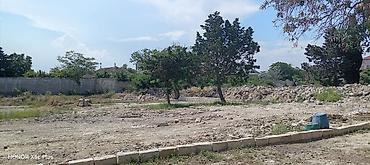 gence pasyolka: 13 sot, Kupça (Çıxarış) — 2