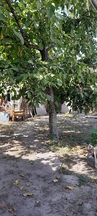 допл: Продаю полдома с участком 5 соток. Сам дом кирпичный, осталось — 8