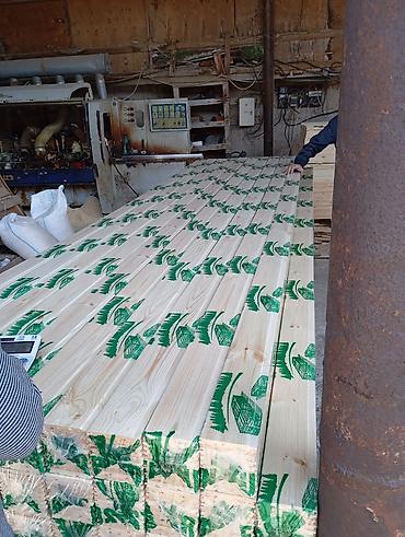 Məhəccər balyansları: Pillekan Pilleri ve Balyans, Tumbalarin, Obşifqalarin Topdan ve — 22