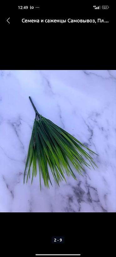 Декоративные цветы: Искусственные деревьяи цветы для вашего интерьера Адрес: г. Бишкек. ул — 9