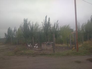 участок дом в селе байтик: Продаётся участок с домом и хозяйственными постройками. - Жилой дом