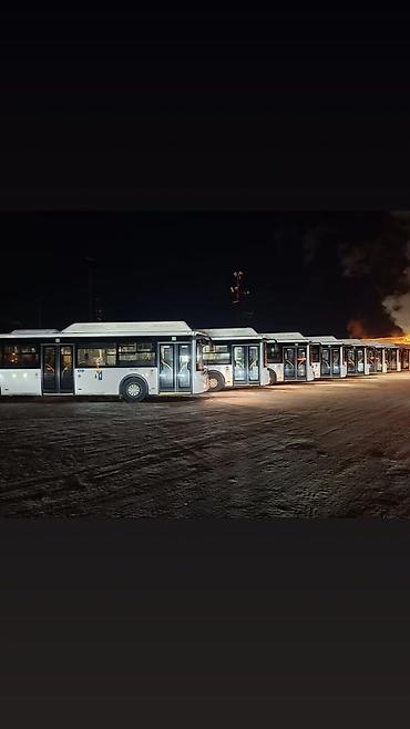 Водители автобуса, буса: Требуется Водитель автобуса, буса, Категория прав (D), 1-2 года опыта, Пятидневка, Старше 23 лет, Официальное трудоустройство — 6