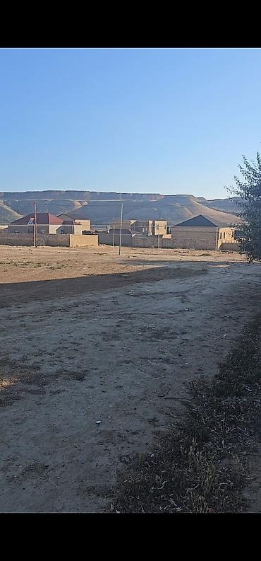 samaxi cuxuryurd torpaq: 8 sot, Tikinti, Mülkiyyətçi, Kupça (Çıxarış) — 1