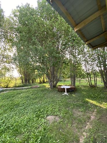 дом комната: 🏡 Сдаётся большой уютный дом на Иссык-Куле! В селе Чон-Сары-Ой Большой — 10