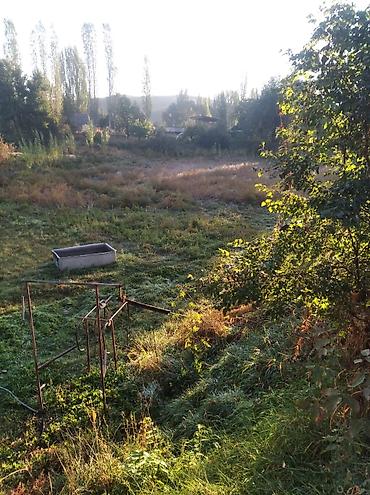 Продажа домов: 3 комнаты, 40 м², 30 соток, Чон-Арык, Собственник — 3