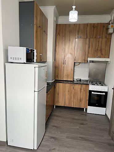 999: 1 комната, 38 м², Рабочий Городок Индивидуалка, 2 этаж, Евроремонт — 5