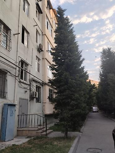 duz sat: Bakı, 1-ci mikrorayon, 3 otaqlı, Köhnə tikili, m. 20 Yanvar, 45 kv. m — 1