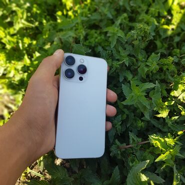 цена айфона 10: IPhone X, Колдонулган, 256 ГБ, Күмүш, Коргоочу айнек, Каптама, 100 %