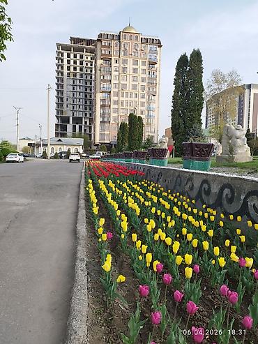 o store: Аренда офисов, 29 м², В бизнес центре — 2