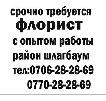 линейный нож для кроя: Оформитель. Шлагбаум — 1