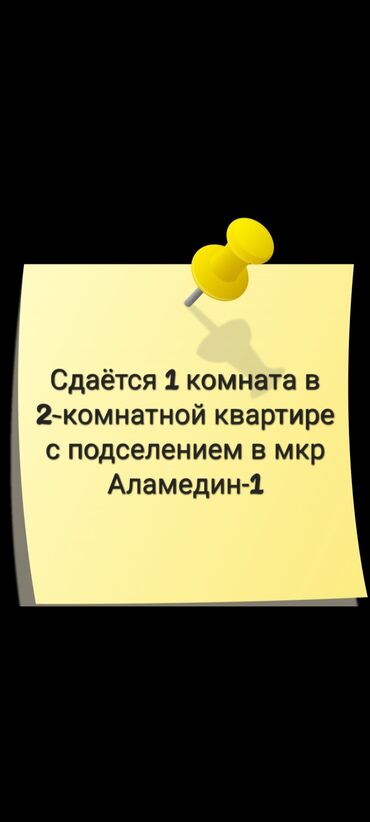 сдаю квартиру в кара жыгач: 1 бөлмө, Менчик ээси, Чогуу жашоо менен, Жарым -жартылай эмереги бар