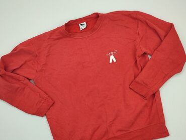 Men's Clothing: Sweatshirt for men, L (EU 40), condition - Good