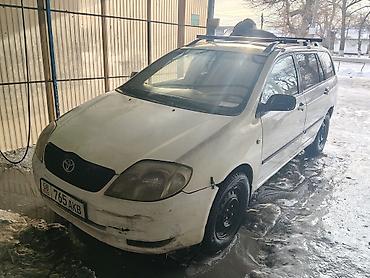 Toyota: Toyota Corolla: 2003 г., 2 л, Механика, Дизель, Универсал — 1