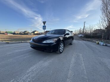 Toyota: Toyota Camry: 2003 г., 2.4 л, Автомат, Бензин, Седан — 3