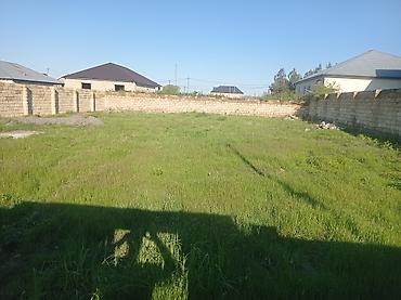 Torpaq sahələrinin satışı: Tikinti — 9