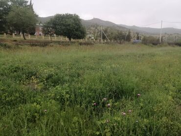 Bağ evlərinin satışı: İsmayıllı, 150 kv. m, 4 otaqlı, Qaz, Su, Telefon — 29